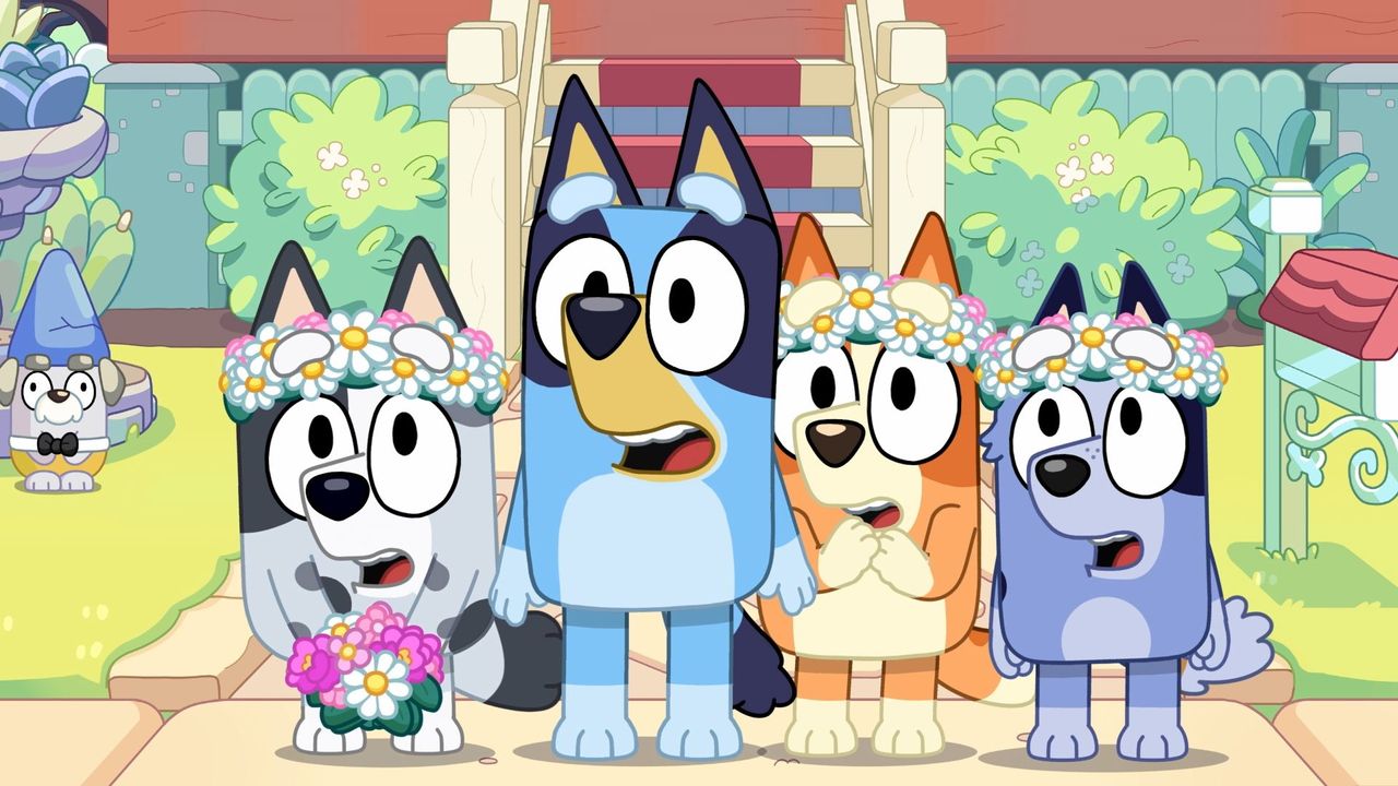 Why is Bluey so popular?